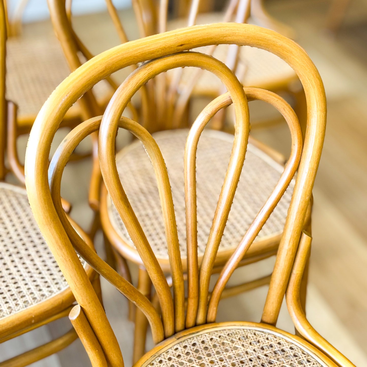 Set of six glorious cane dining chairs