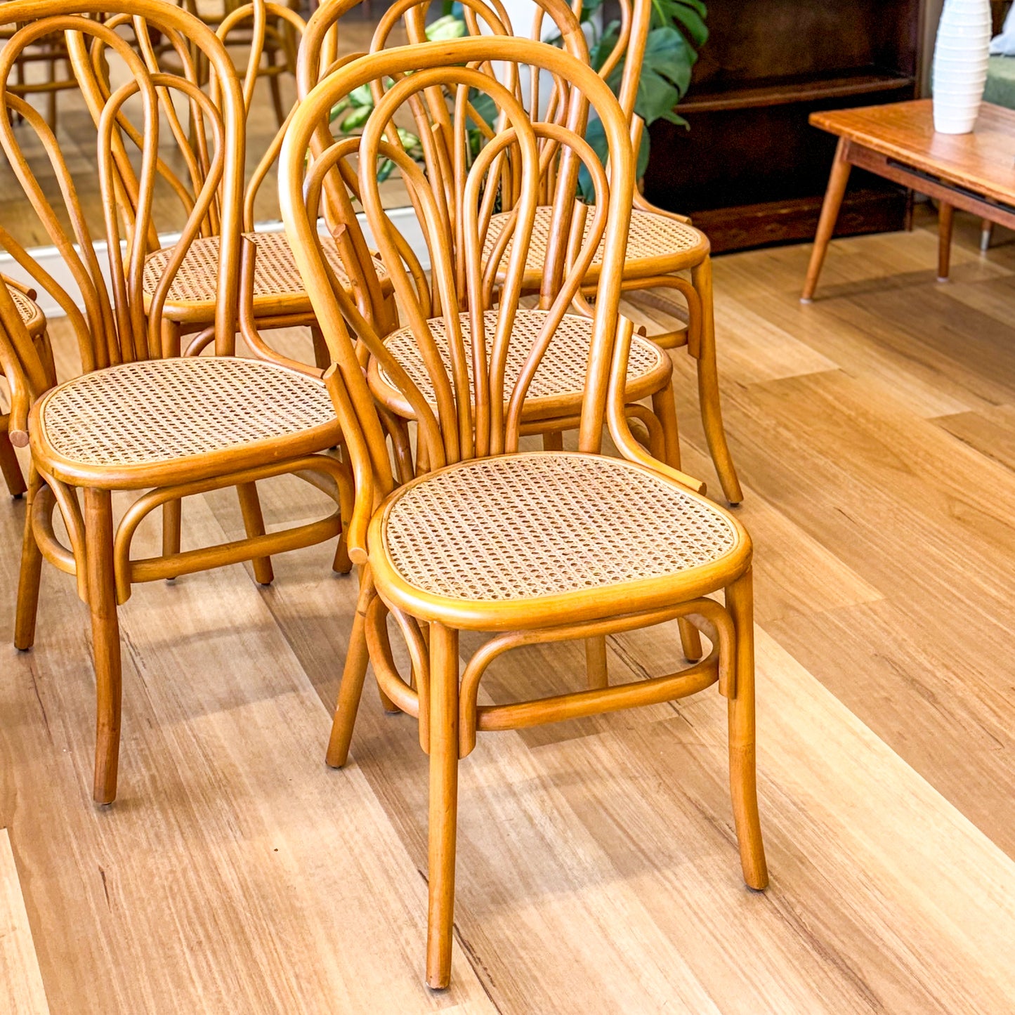 Set of six glorious cane dining chairs