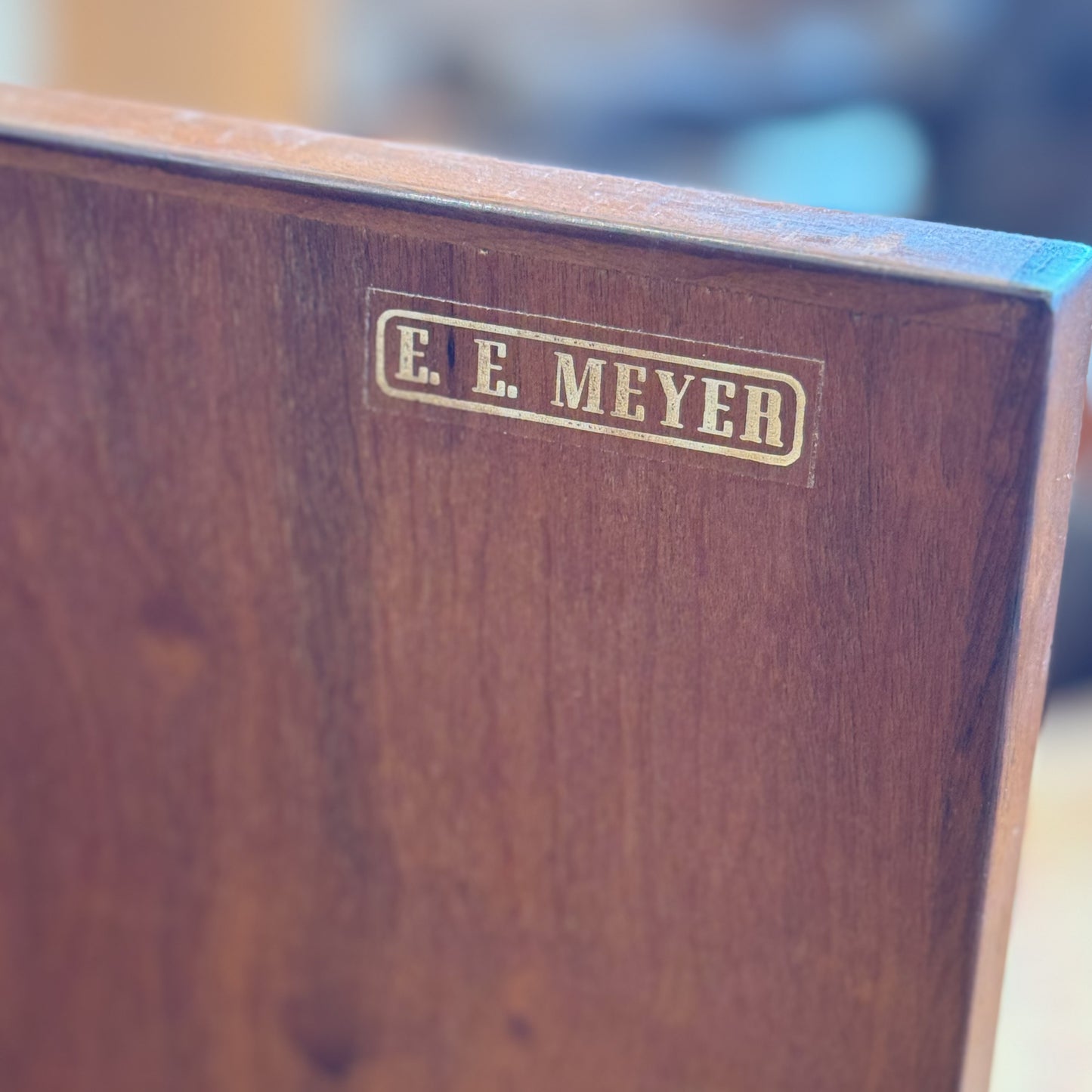 E.E.Meyer mid century lockable cabinet