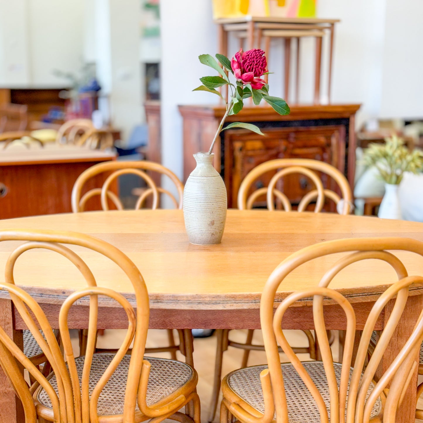 Tasmanian Oak dining table and six bentwood chairs