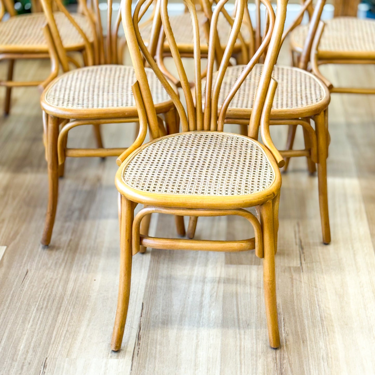 Set of six glorious cane dining chairs